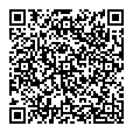 vCard 79232574817