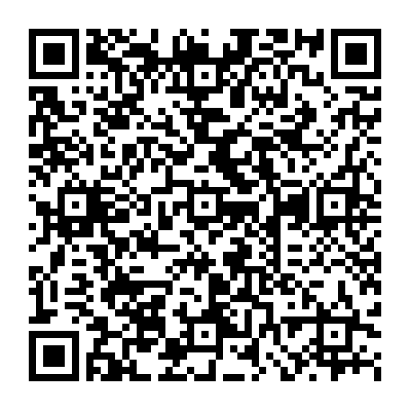 vCard 79232581381