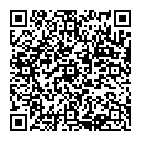 vCard 79232581633