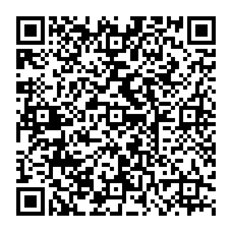 vCard 79232583355