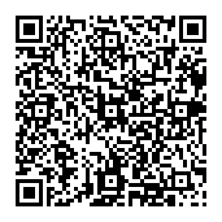 vCard 79232638589
