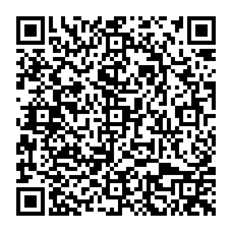 vCard 79232650003