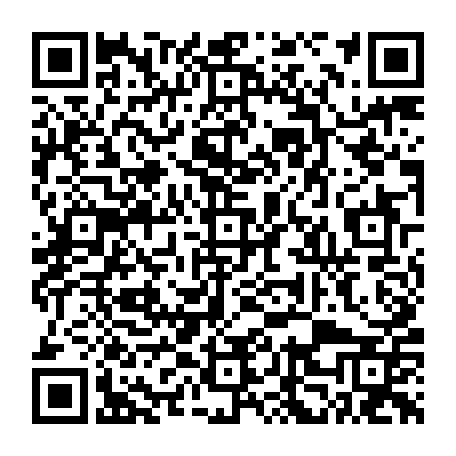 vCard 79232652288