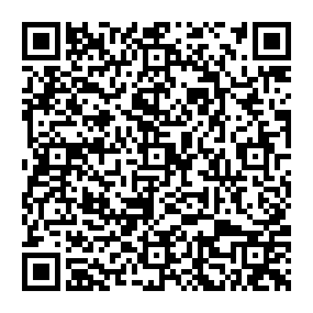 vCard 79232663817