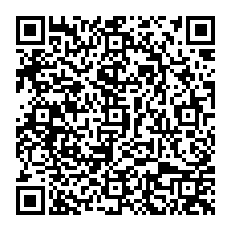 vCard 79232666339
