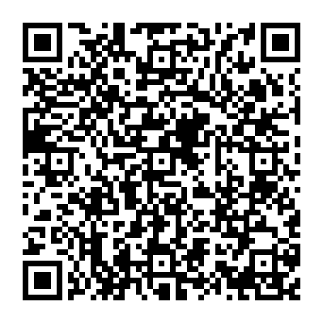 vCard 79232683715
