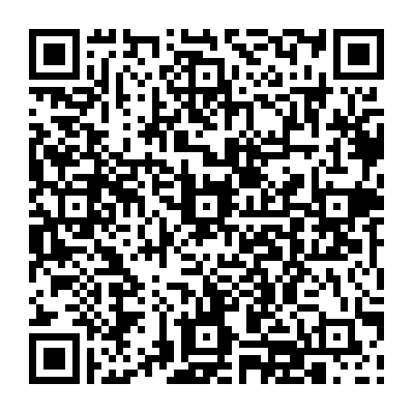 vCard 79232684085
