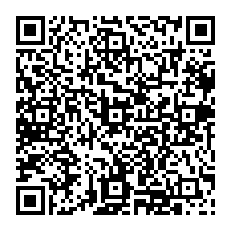 vCard 79232684173