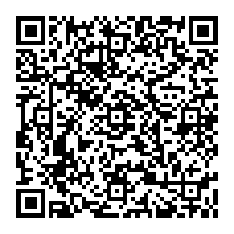 vCard 79232684333