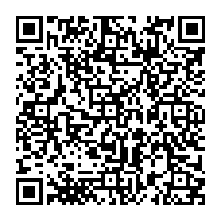 vCard 79232685384