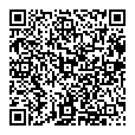 vCard 79232685489