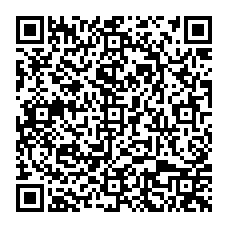 vCard 79232686584
