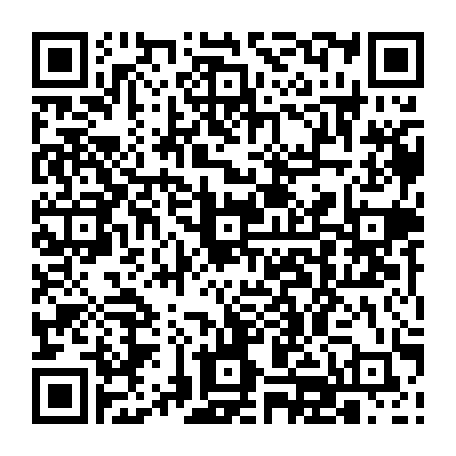 vCard 79232687003