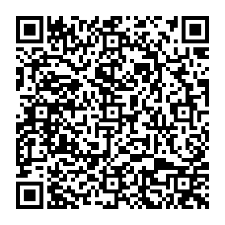 vCard 79232688313