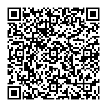 vCard 79233800017