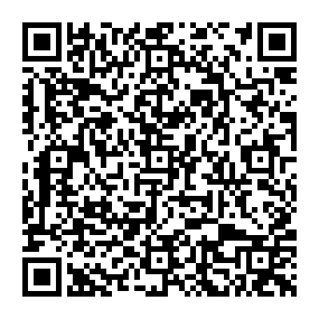 vCard 79233817395