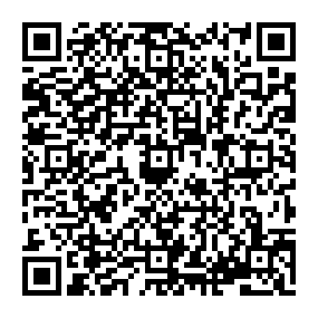 vCard 79233936329