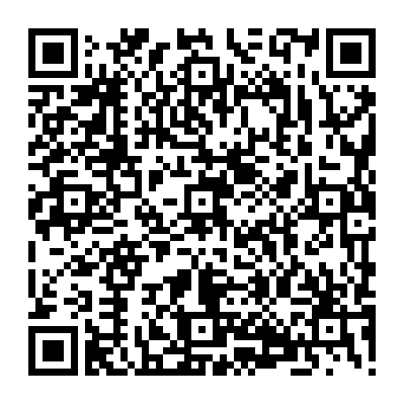 vCard 79233954113