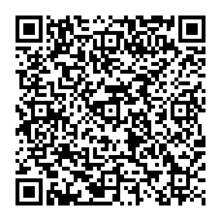 vCard 79233973376