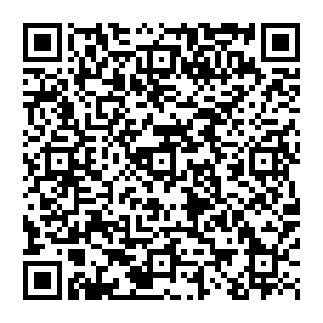 vCard 79233973381