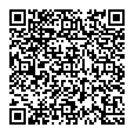 vCard 79233973503