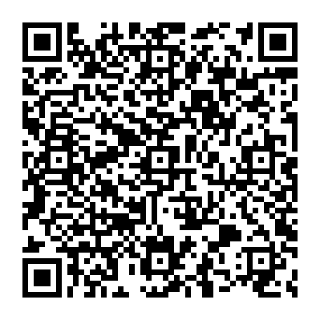 vCard 79233973687