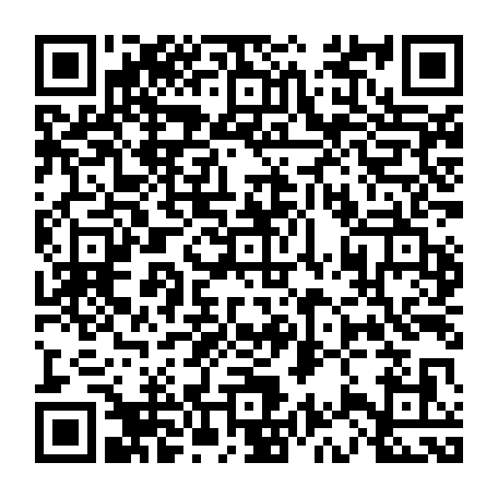 vCard 79233973738