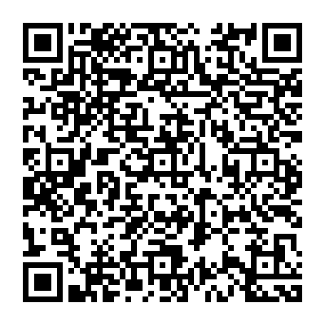 vCard 79233973753