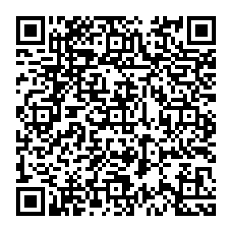 vCard 79233973821