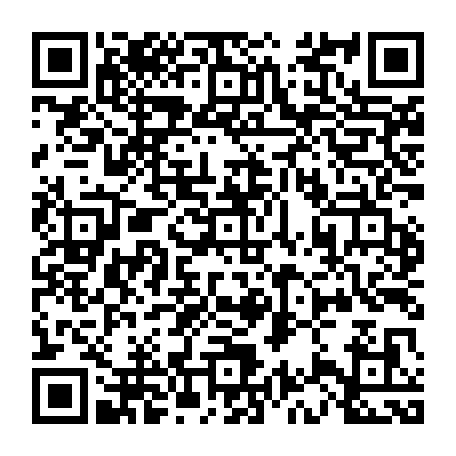 vCard 79233973863