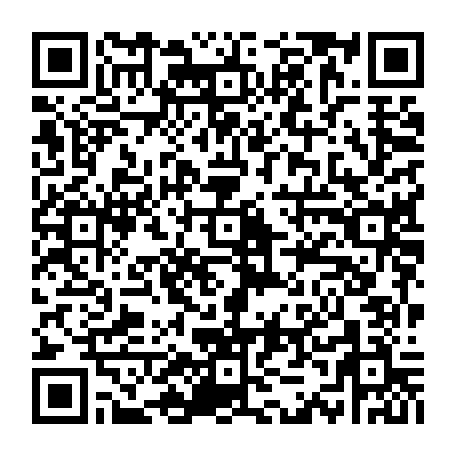 vCard 79233973873