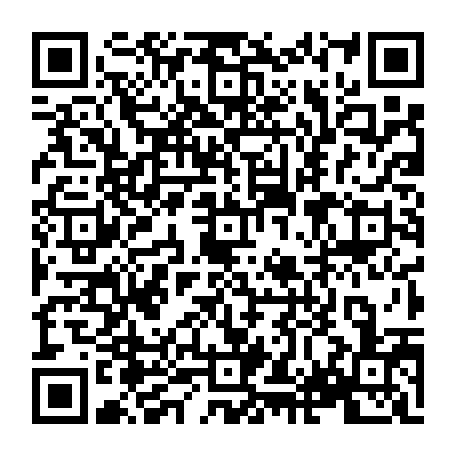 vCard 79233973887