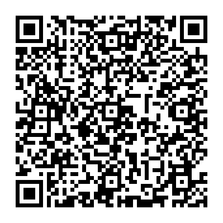 vCard 79233974038