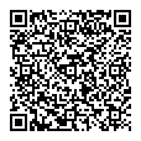 vCard 79233974045