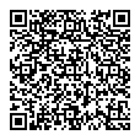 vCard 79233974054
