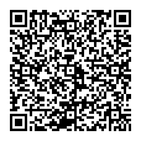 vCard 79233974074