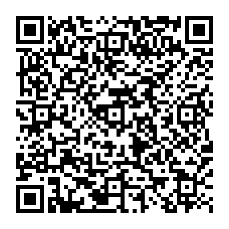 vCard 79233974169