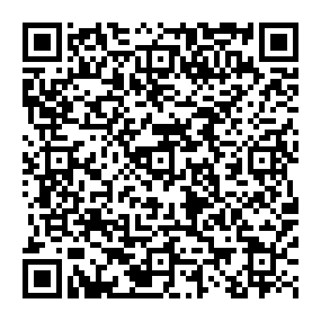 vCard 79233974173