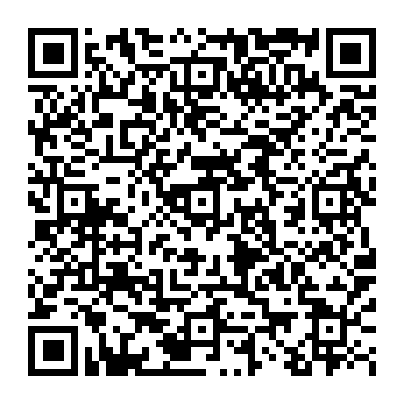 vCard 79233974174