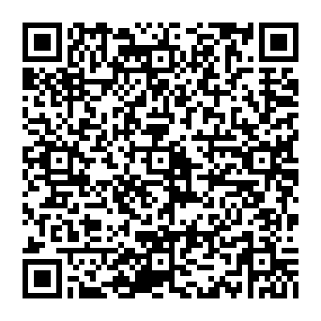 vCard 79233974175