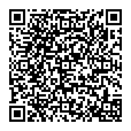 vCard 79233974317