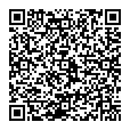 vCard 79233974337