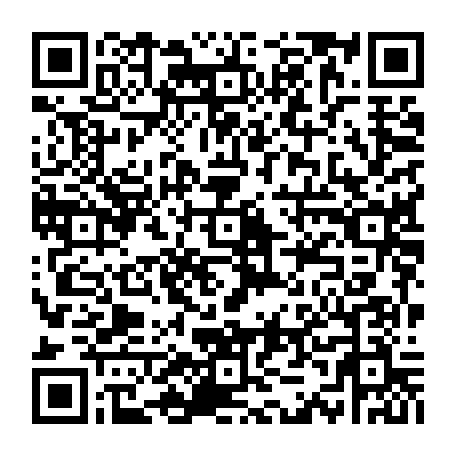 vCard 79233974738