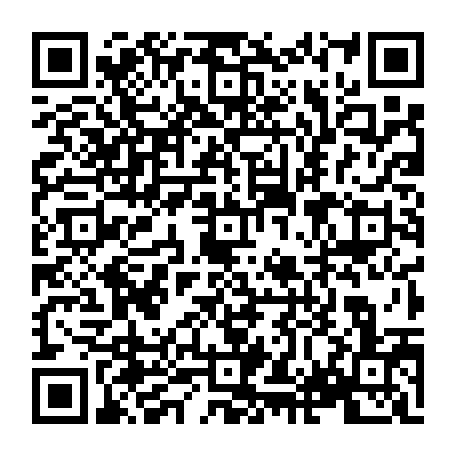 vCard 79233974739