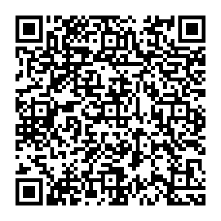 vCard 79233974778