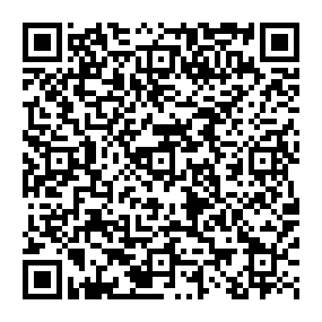 vCard 79233975174
