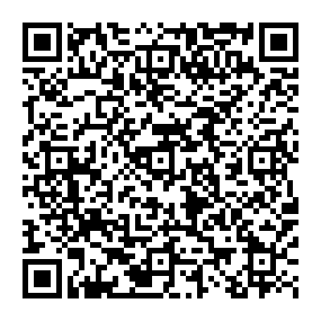 vCard 79233975273