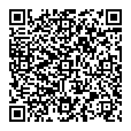 vCard 79233975487