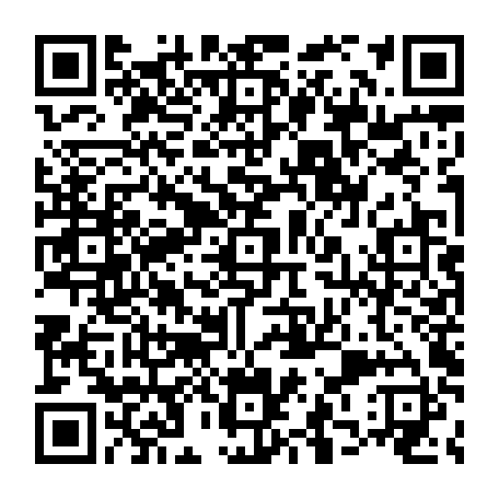 vCard 79233976378