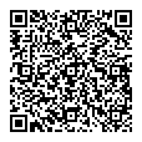 vCard 79234533330